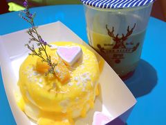 -狐狸和向日葵(北京路店)