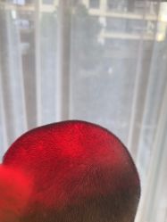 -雍禾植发