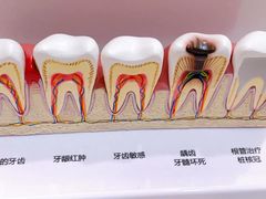 -维乐口腔(格林门诊长宁店)