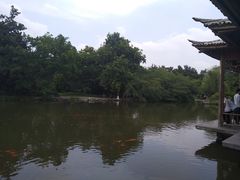 -西湖外事游船(花港观鱼码头)