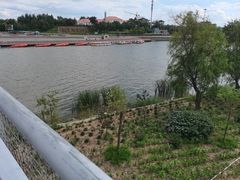 -卧龙湖