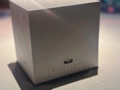 -BLACKSWAN黑天鹅(环球店)
