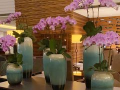 -天津海河悦榕庄·Lobby Lounge大堂吧