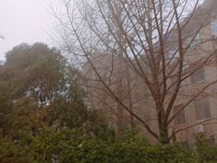-山东大学(趵突泉校区)