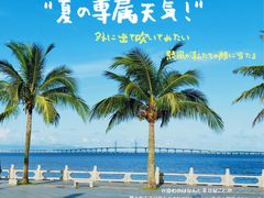 -港珠澳大桥(珠海段)