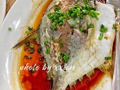 清蒸金仓鱼-双月饭店·20年老字号(新村店)