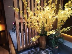 -栖SPA·ONDA ·海菲秀·皑皑科技美肤中心