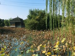 -韩湘水博园