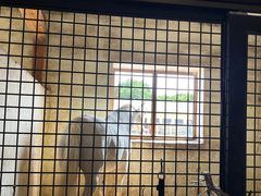 -北京群众马术培训基地