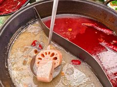 -鸿姐老火锅·传统炒料(上海旗舰店)