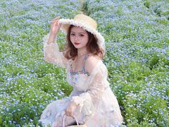 -杭州湾海上花田景区