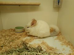 -龙猫仔乐园(惠福东路店)