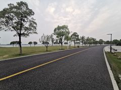 -漕湖湿地公园