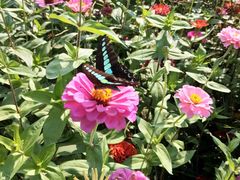 -上海浦江郊野公园-2号停车场