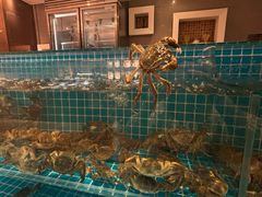 -视界美食自助餐厅·石家庄希尔顿酒店