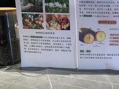 -Sips&Lick茶兰咖啡(五道口店)