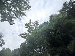 -汉拿树木园