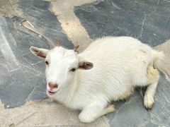 -南戴河国际娱乐中心