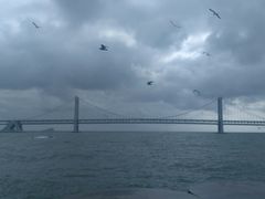 -星海湾跨海大桥