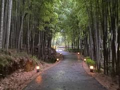 -苏州环秀晓筑养生度假村