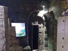 -暴风岛沉浸式体验馆(百联世纪店)