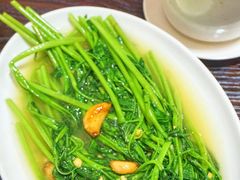 清炒空心菜-春梅里卤鹅馆·47年老字号(中山路店)