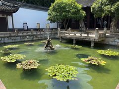 -上海醉白池公园