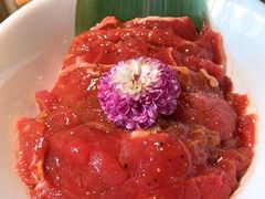 -九鼎轩脆毛肚火锅(三钢里店)