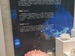 -天津自然博物馆