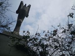 -武汉大学-樱园