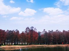 -四明湖