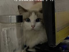 -心语宠物医院·急重症转诊中心·瑞辰华诺(南青路店)