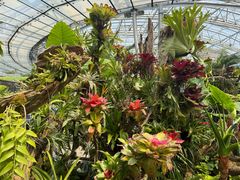 -北京植物园-展览温室