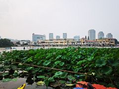 -WhaleSports户外水上运动俱乐部(朝阳公园店)
