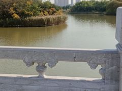 -塘沽森林公园