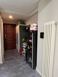 -苗塑堂减肥艾灸