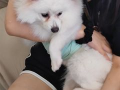 -怪兽屋·羊驼·猫咖·狗咖(俊华广场店)