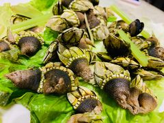 佛手-浙C老邻舍(西城海错店)