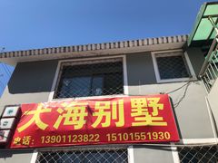 -大海别墅民宿农家院(十渡店)