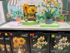 -TOP TOY(大兴荟聚店)