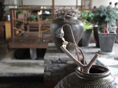 -几荷·恰似故人来(秀水广场店)