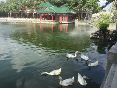 -广东圆玄道观