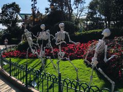 -七彩云南欢乐世界