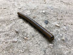 -碓臼峪自然风景区