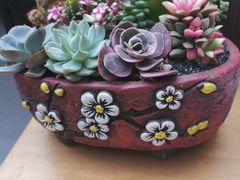 -财神鸡煲(华强北店)