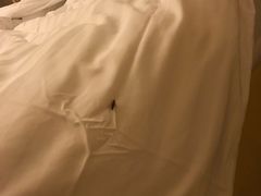 -杭州香格里拉饭店