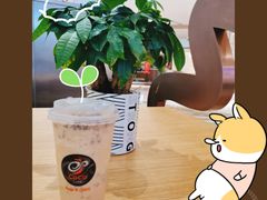 -CoCo都可(卓展店)