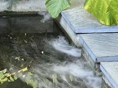 -漫笙舍Manse·咖啡·民宿