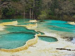 -黄龙山原始森林景区