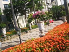 -美视五月花高尔夫度假酒店(滨海西店)